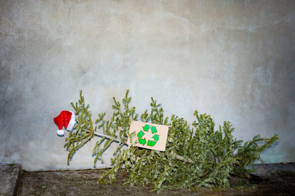 Comment recycler votre sapin naturel après Noël