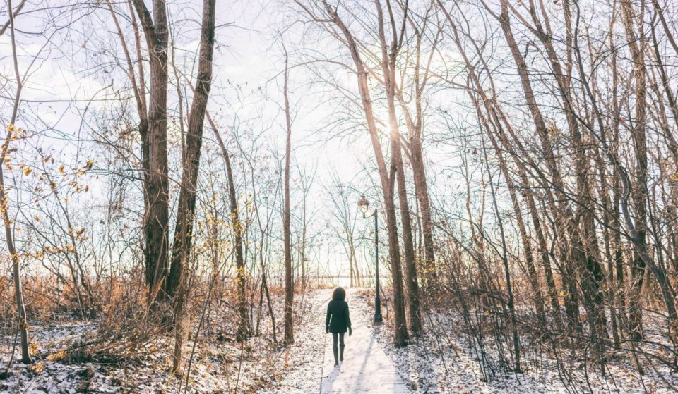 Découvrez tous les sentiers de randonnée à Montréal cet hiver