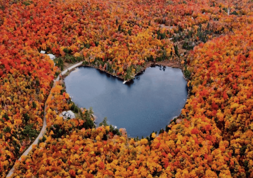 Voici 15 choses qui nous font adorer l’automne à Montréal