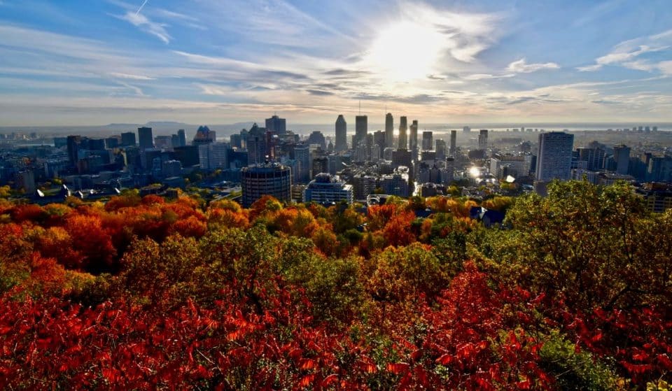 25 signes que l’automne arrive à Montréal, selon les Montréalais