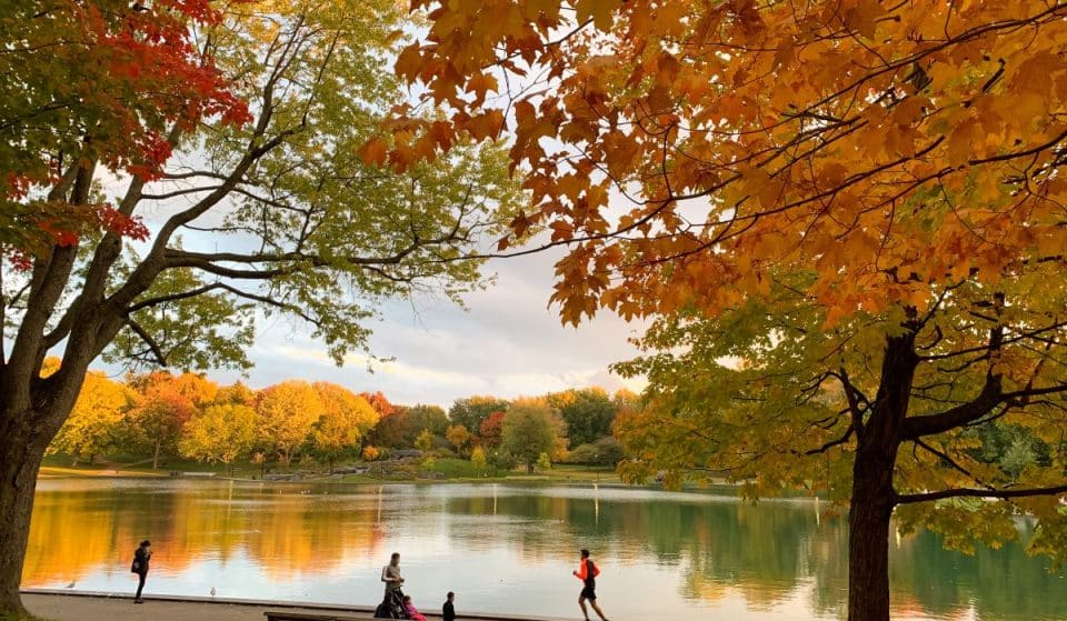 Les plus beaux parcs de Montréal à visiter dès aujourd’hui