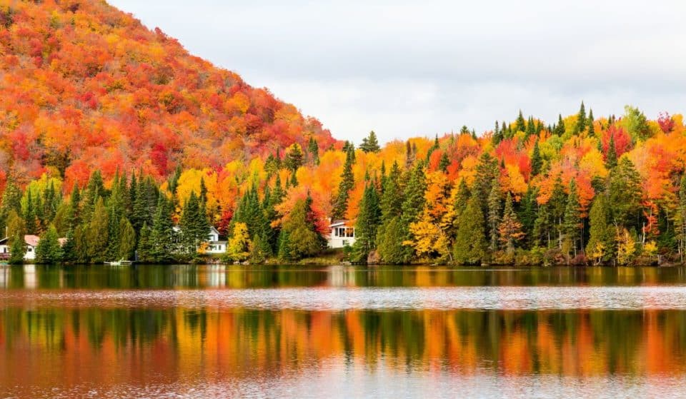 Les couleurs d’automne au Québec : comment trouver les meilleurs endroits en temps réel