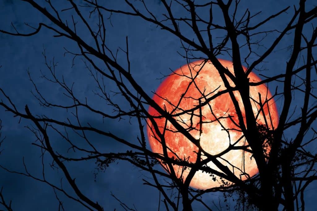 Une pleine lune orange hyper-brillante va illuminer le ciel cette semaine