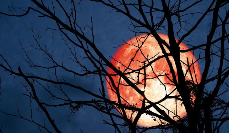 Une pleine lune orange hyper-brillante va illuminer le ciel cette semaine