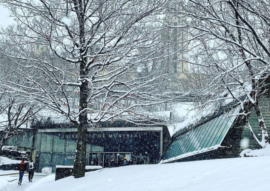 En IMAGES : La première neige de 2022 à Montréal