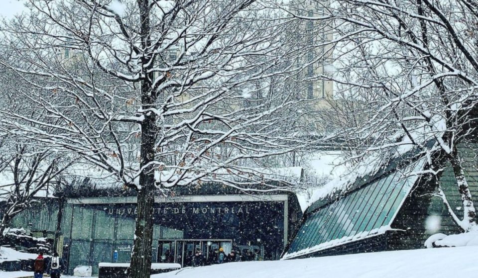 En IMAGES : La première neige de 2022 à Montréal