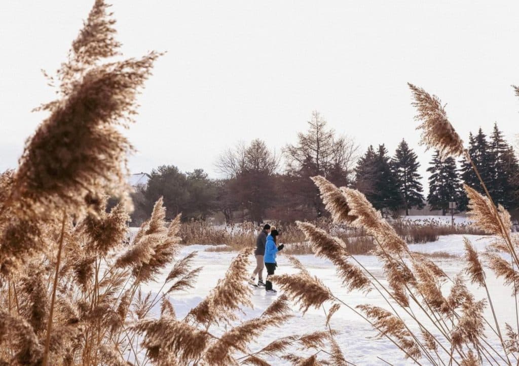 Voici 8 endroits parfaits pour une première « date » à Montréal