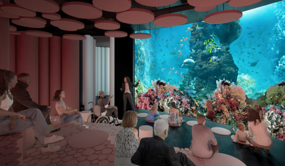Dès l’an prochain, Montréal aura un aquarium en ville !