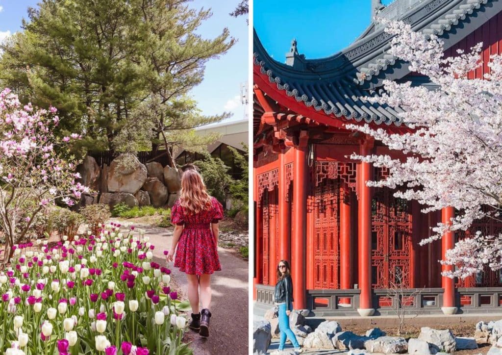Voici 7 endroits parfaits où admirer les floraisons printanières à Montréal