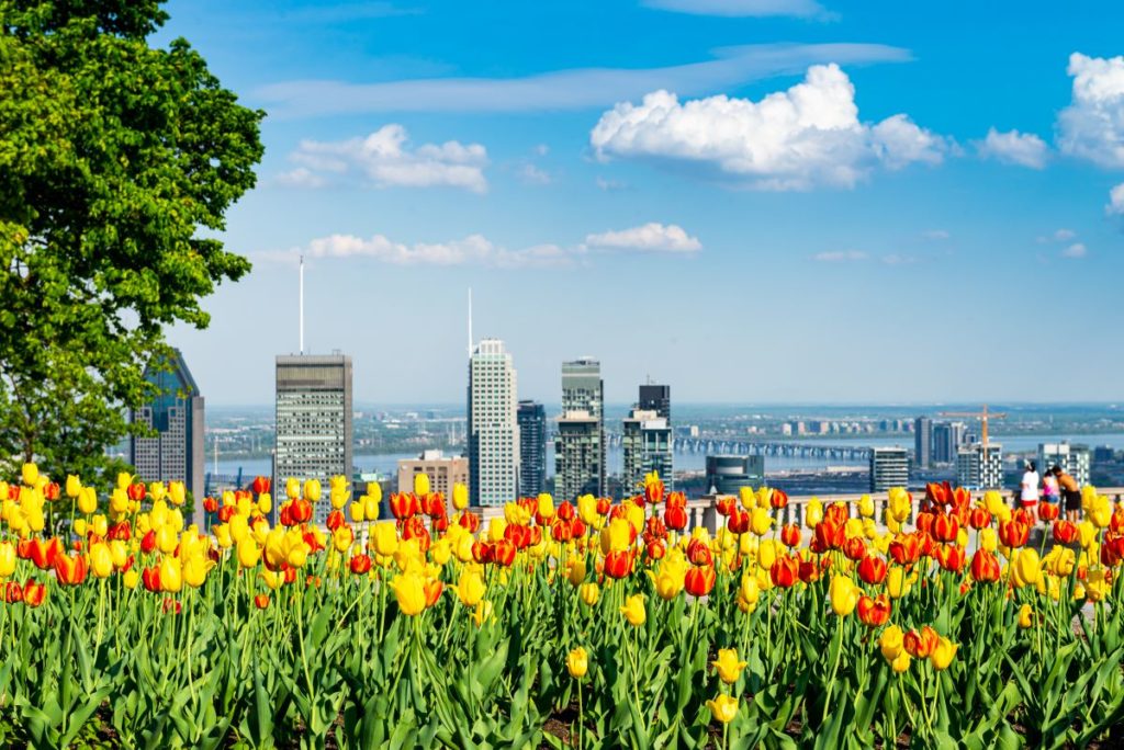 Voici 30 choses fantastiques à faire en mai à Montréal
