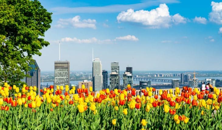 Voici 30 choses fantastiques à faire en mai à Montréal