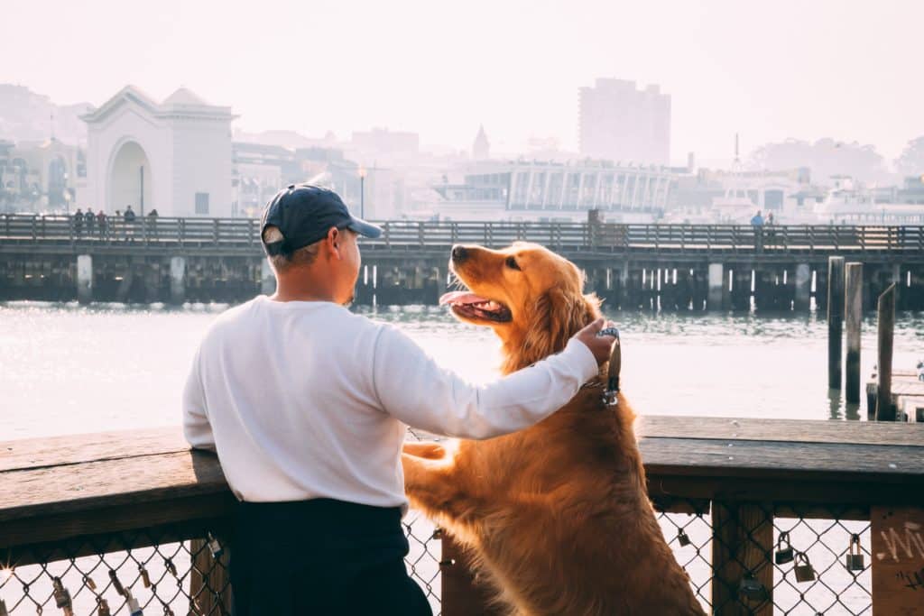 Un homme et un chien Golden retriver de dos sont contre une barrière face à un fleuve en fin de journée 