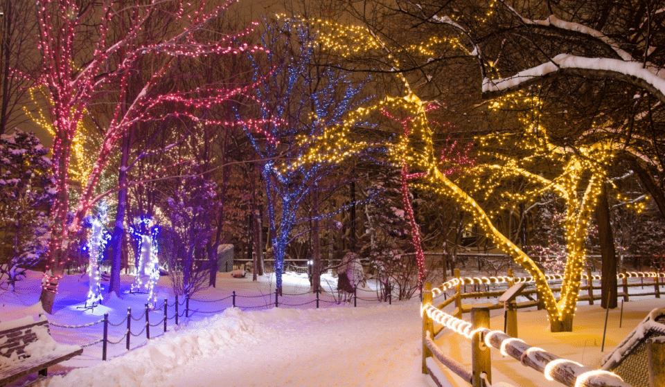 Cette patinoire et ce village de Noël à moins de 3h de Montréal sont dignes d’un film Disney